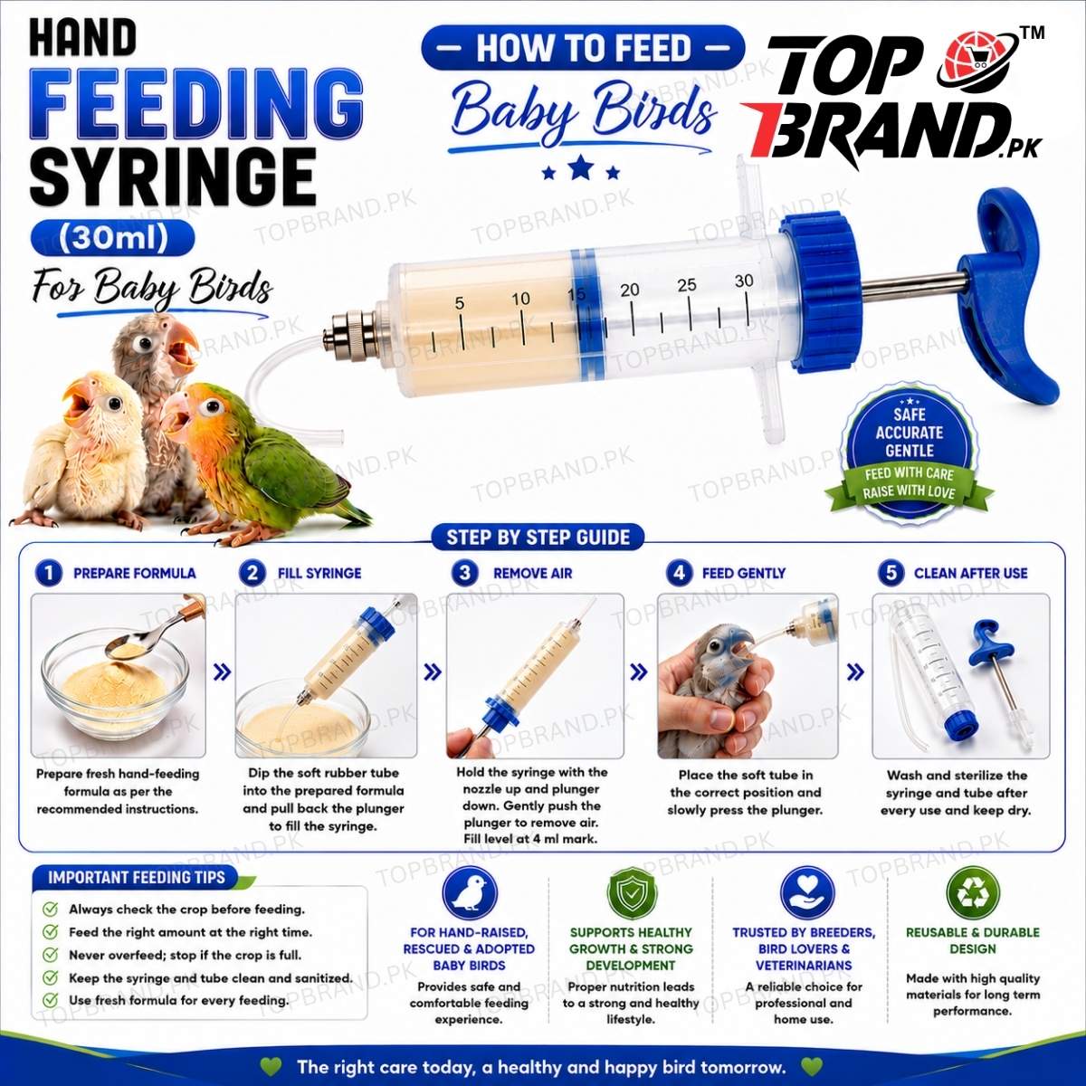 Hand Feeding Syringe (30ml) for Baby Birds