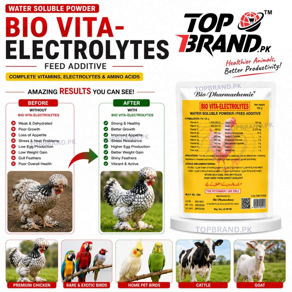 Bio Vita-Electrolytes 100g