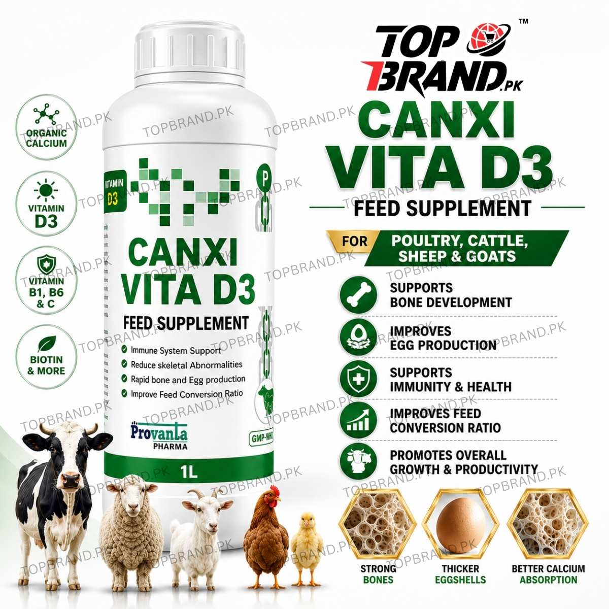 CANXI VITA D3 1 litter