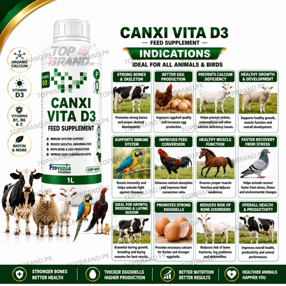 CANXI VITA D3 1 litter