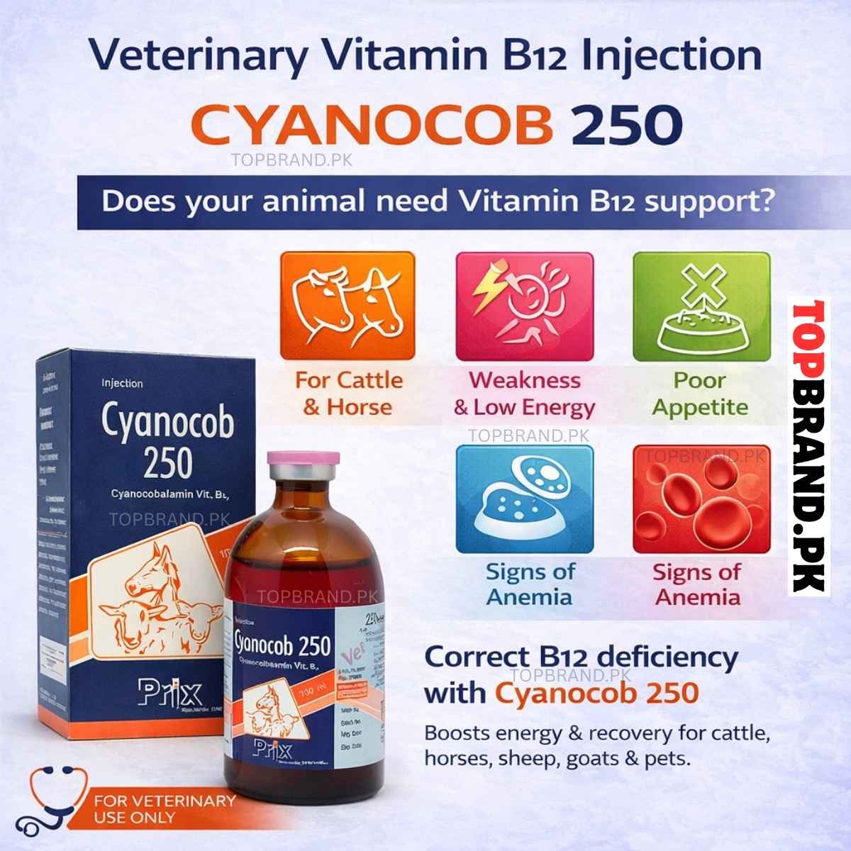 Cyanocob 250 Injection 100ml (Cyanocobalamin Vitamin B12 Veterinary)