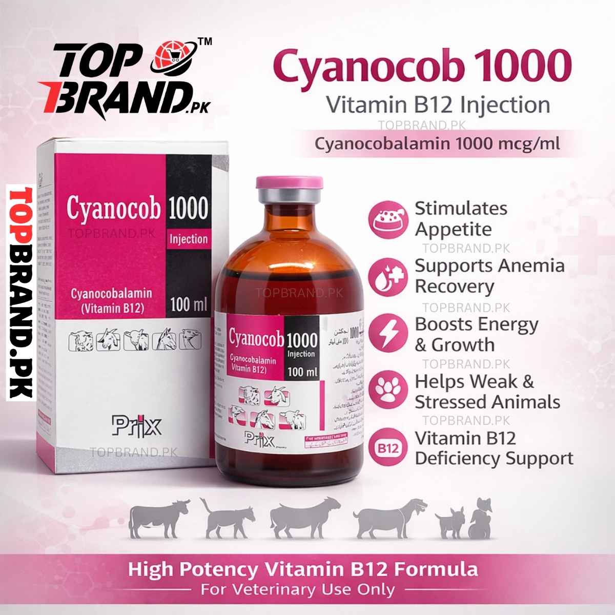 High Potency Vitamin B12 Injection for Animals Cyanocob 1000 Top Brand High Potency Vitamin B12 Injection for Animals Cyanocob 1000 Top Brand