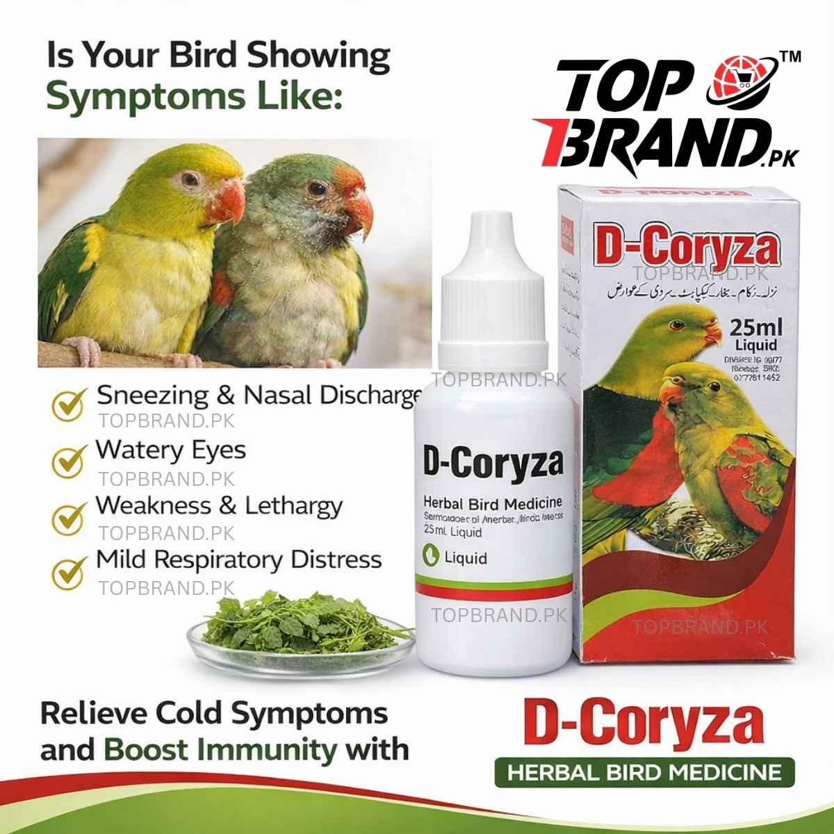 D-Coryza 25ml