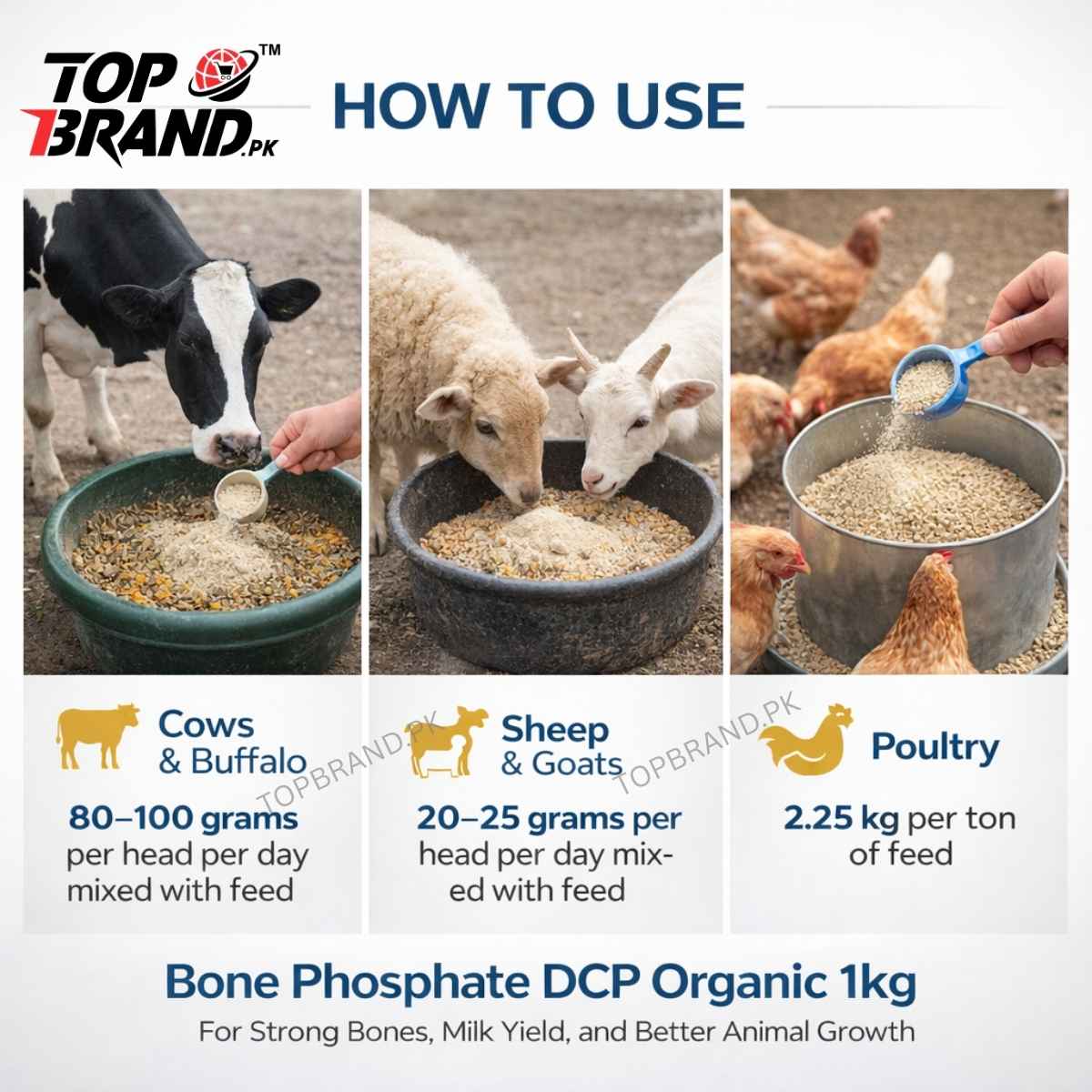 Bone Phosphate (DCP)