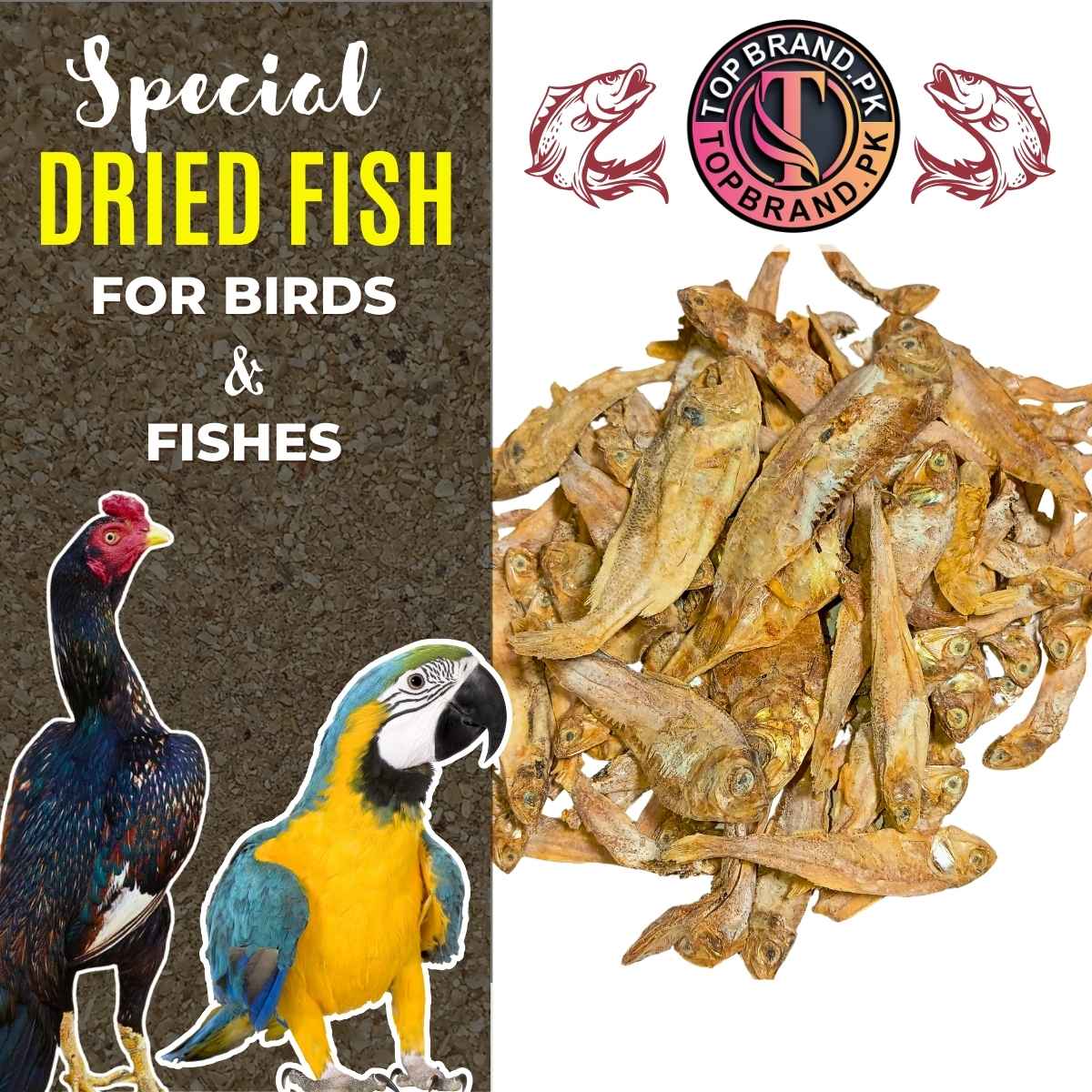 Dried fish
Buy dried fish online
Protein-rich dried fish
Natural dried seafood
High-quality dried fish
Versatile cooking fish
Dried fish for soups
Nutritional seafood products
Authentic dried fish flavor
Traditional fish delicacy