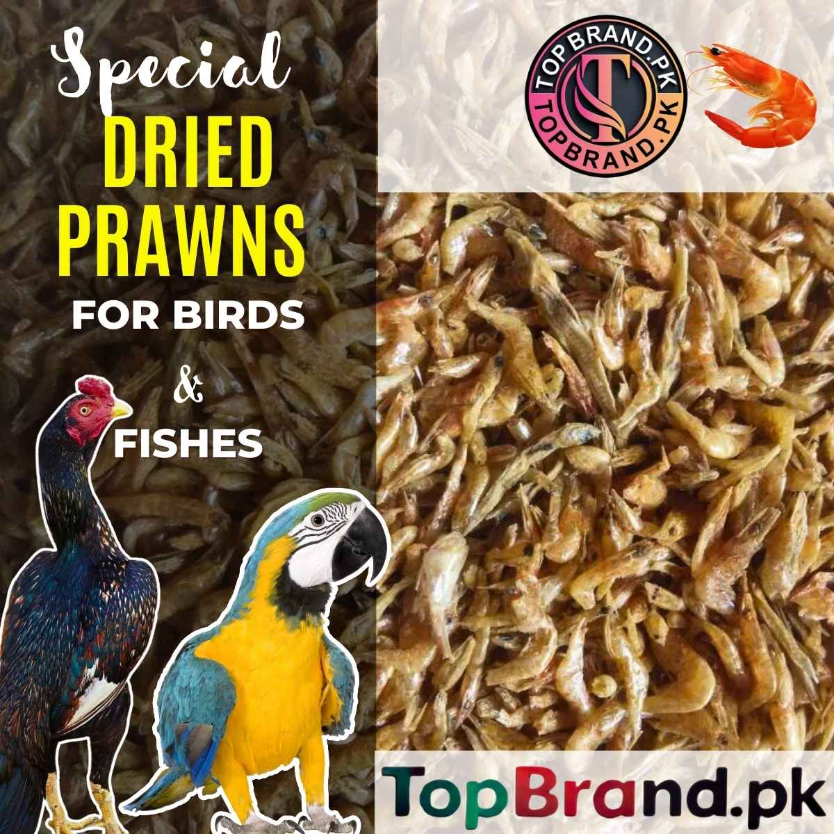 Dried prawn for birds
High-protein dried prawn feed
Natural dried prawn for pets
Dried prawn for fish feed
Healthy dried prawn for reptiles
Nutrient-rich dried prawn
Dried seafood for pet health
Versatile feed dried prawn
Chemical-free dried prawn feed
Premium dried prawn for pets