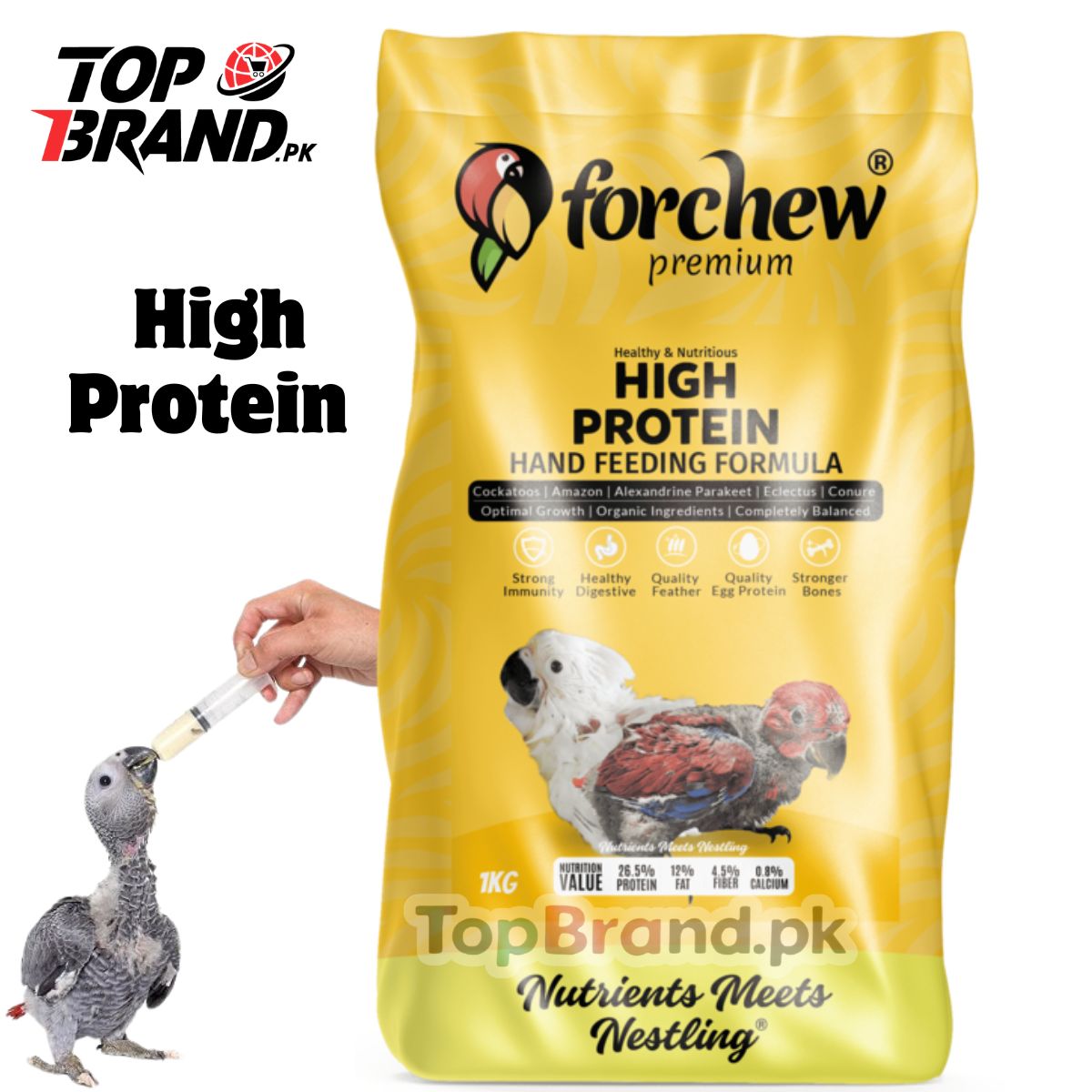 Hand Feed for African Grey