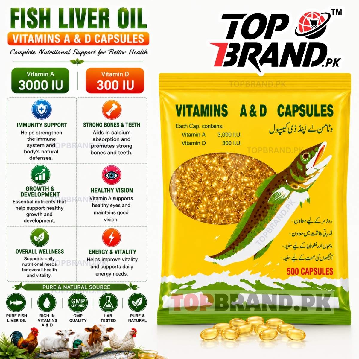 best source of Vitamin D for Birds