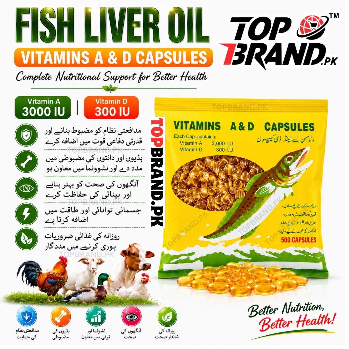 best source of Vitamin D for Birds