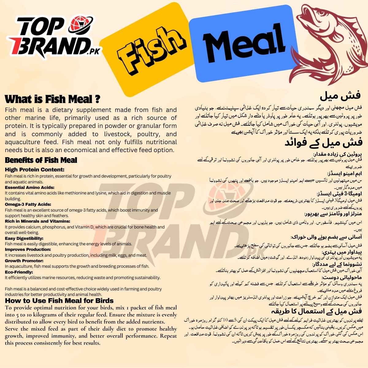 Fish Meal Dry Fish Powder