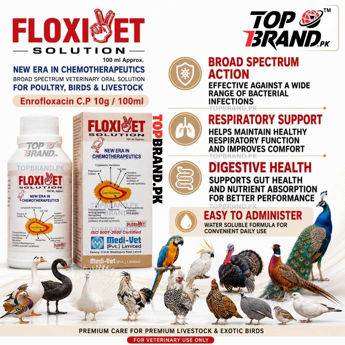 Floxivet Solution 100ml – Enrofloxacin