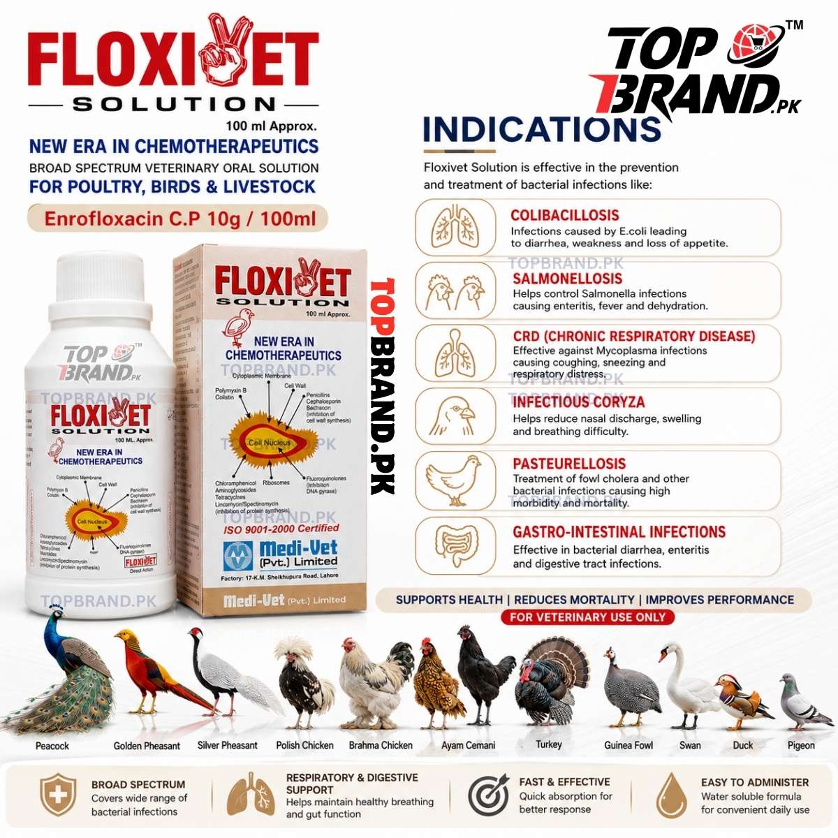 Floxivet Solution 100ml – Enrofloxacin
