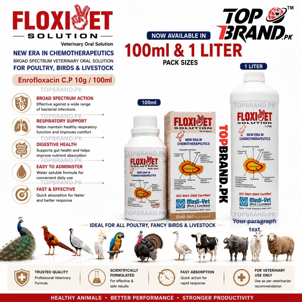 Floxivet Solution 100ml – Enrofloxacin