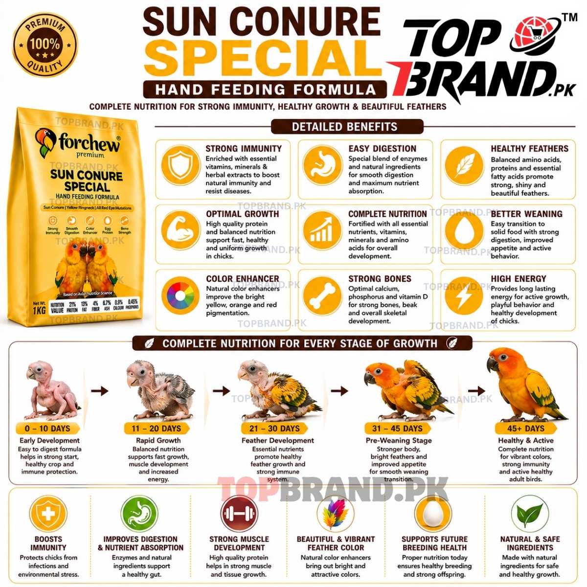 Forchew Sun Conure Special Hand Feeding Formula