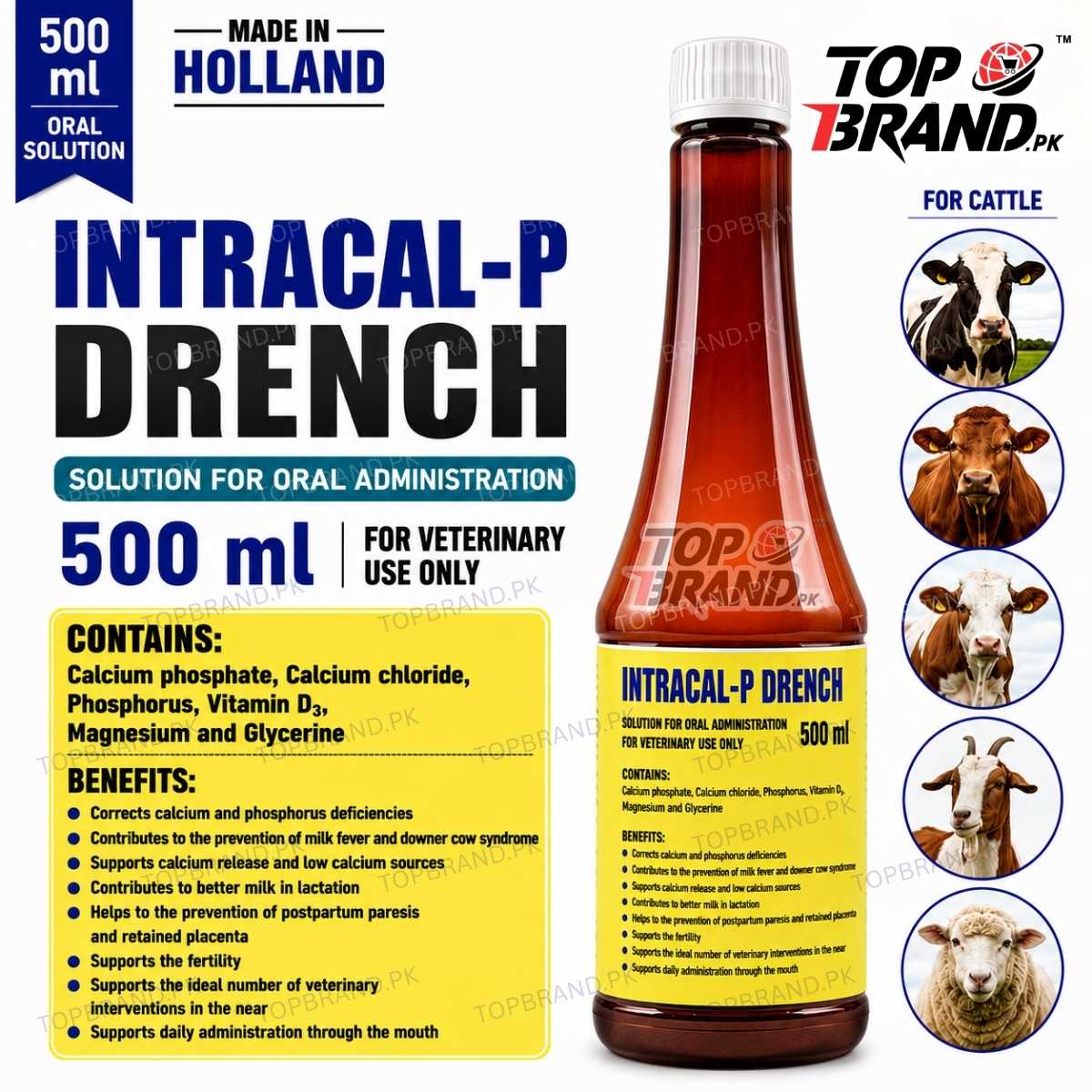 Intracal-P Drench 500 ml | Holland Made