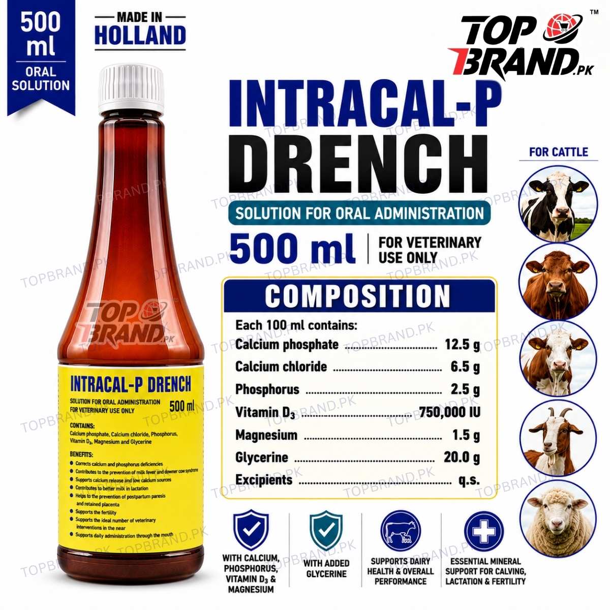 Intracal-P Drench 500 ml | Holland Made