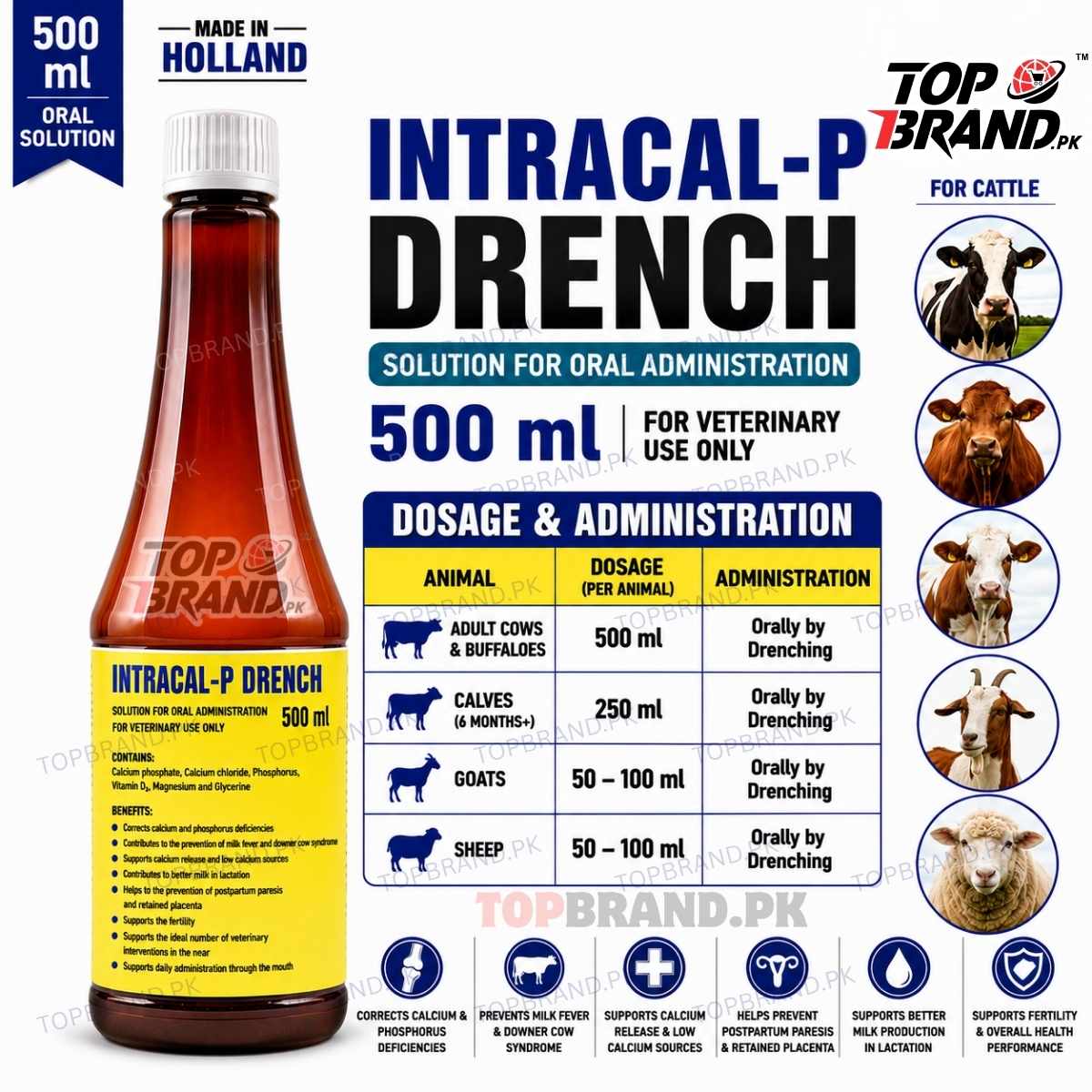 Intracal-P Drench 500 ml | Holland Made