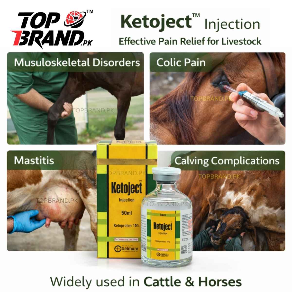 Ketoject (Ketoprofen 10% 50ml