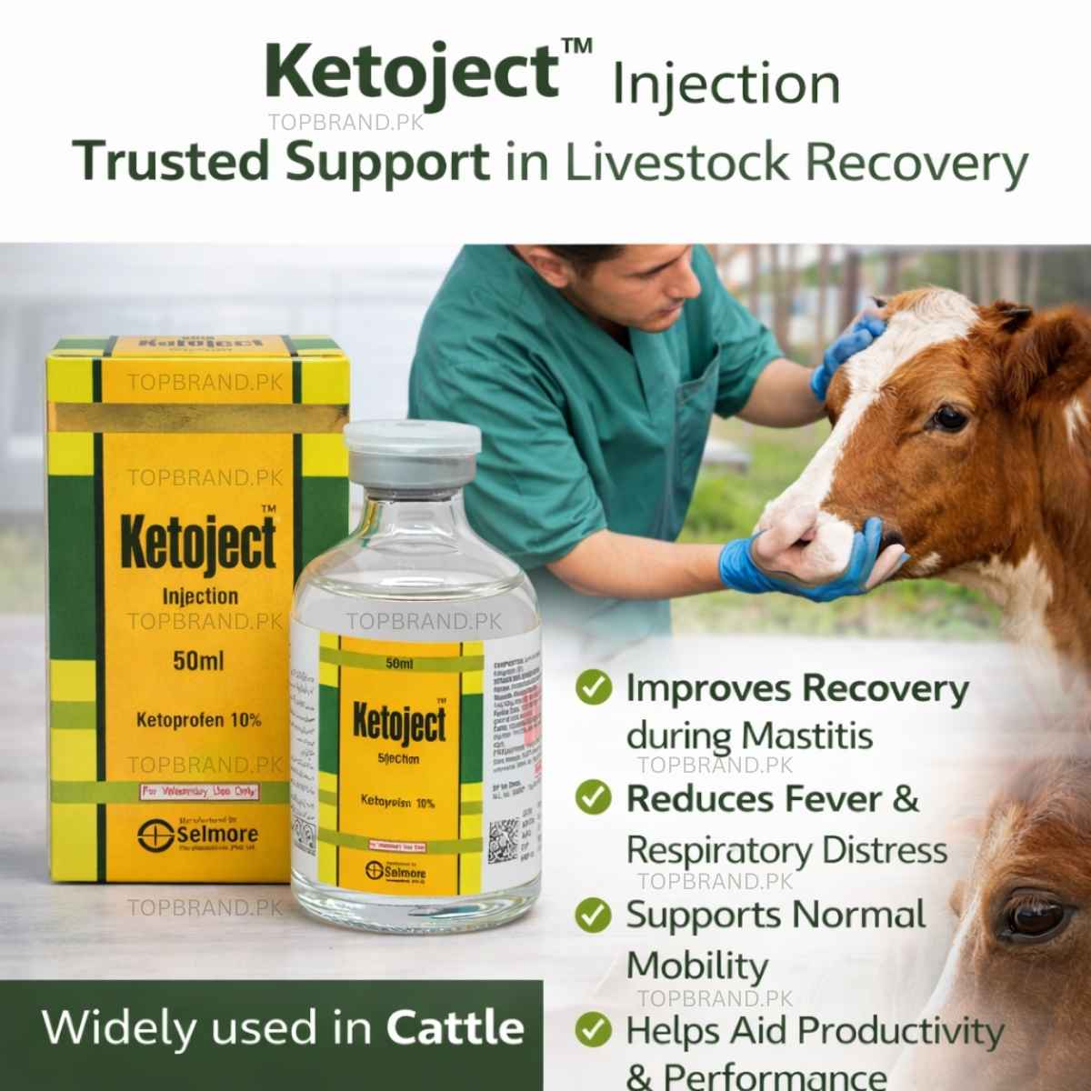 Ketoject (Ketoprofen 10% 50ml