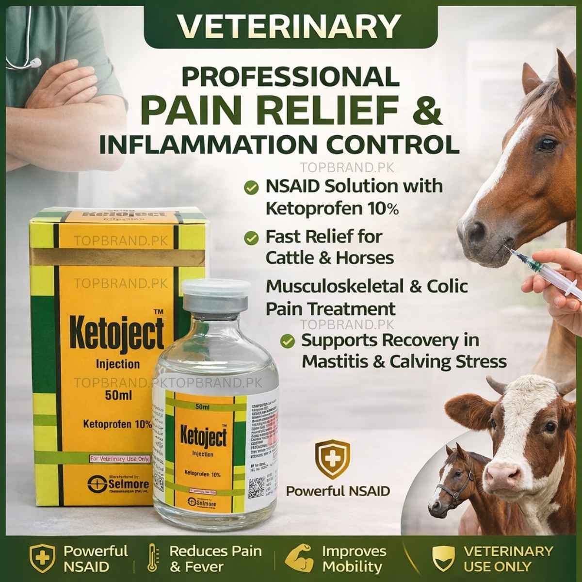 Ketoject (Ketoprofen 10% 50ml