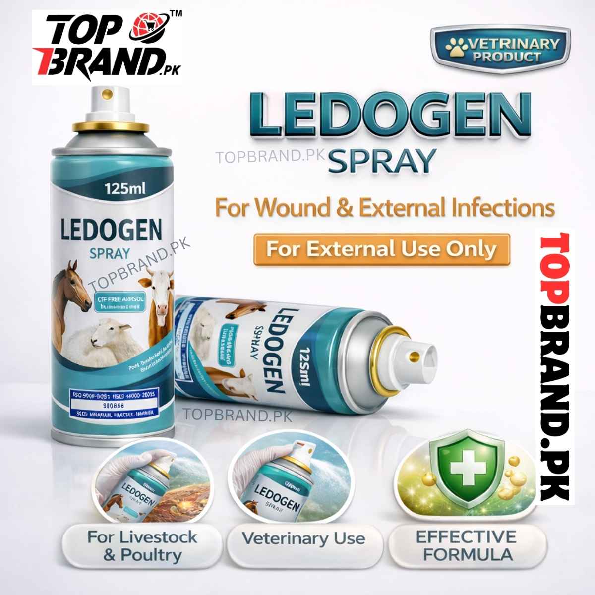 LEDOGEN Spray 125ml