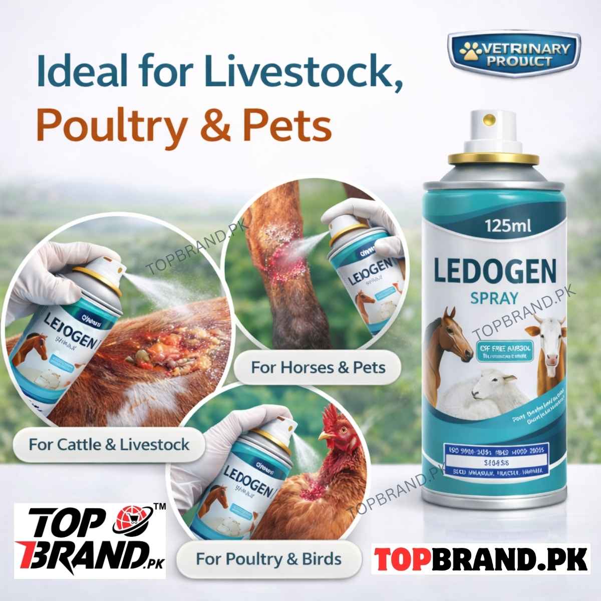 Ledogen Spray, fungal treatment for birds fungal treatment for animals fungal treatment for cattle, fungal treatment for livestock fungal reatment for goats fungal treatment for sheep fungal treatment for rabbits Wounds treatment Treatments spray for birds Wounds treatment Treatments spray for Animals Wounds treatment reatments spray for Cows Wounds treatment Treatments spray for cats Wounds treatment Treatments spray for Dogs Wounds treatment Treatments spray for rabbits Wounds treatment Treat
