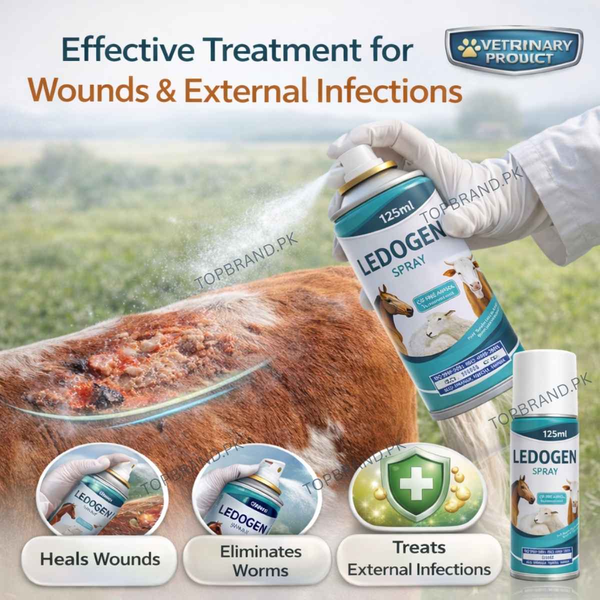 Ledogen Spray, fungal treatment for birds fungal treatment for animals fungal treatment for cattle, fungal treatment for livestock fungal reatment for goats fungal treatment for sheep fungal treatment for rabbits Wounds treatment Treatments spray for birds Wounds treatment Treatments spray for Animals Wounds treatment reatments spray for Cows Wounds treatment Treatments spray for cats Wounds treatment Treatments spray for Dogs Wounds treatment Treatments spray for rabbits Wounds treatment Treat
