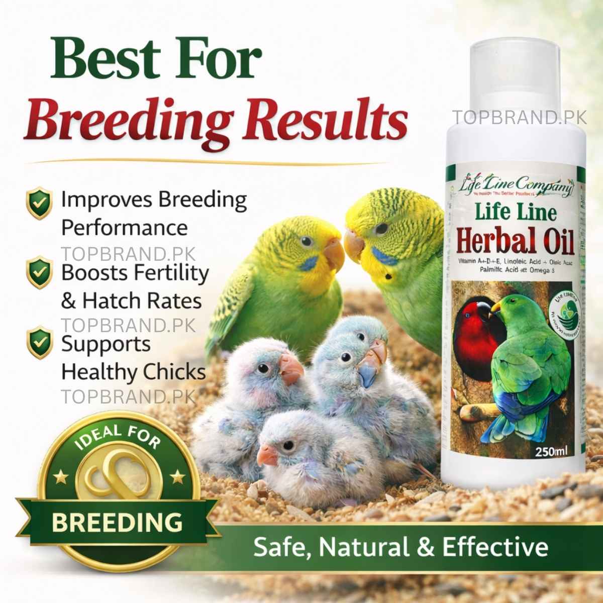 Life Line Herbal Oil (Breeding Oil)