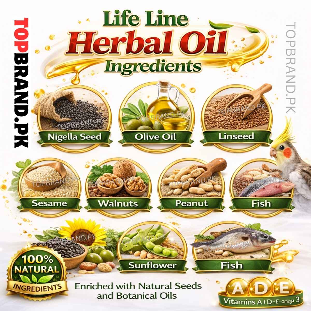 Life Line Herbal Oil for Pigeons