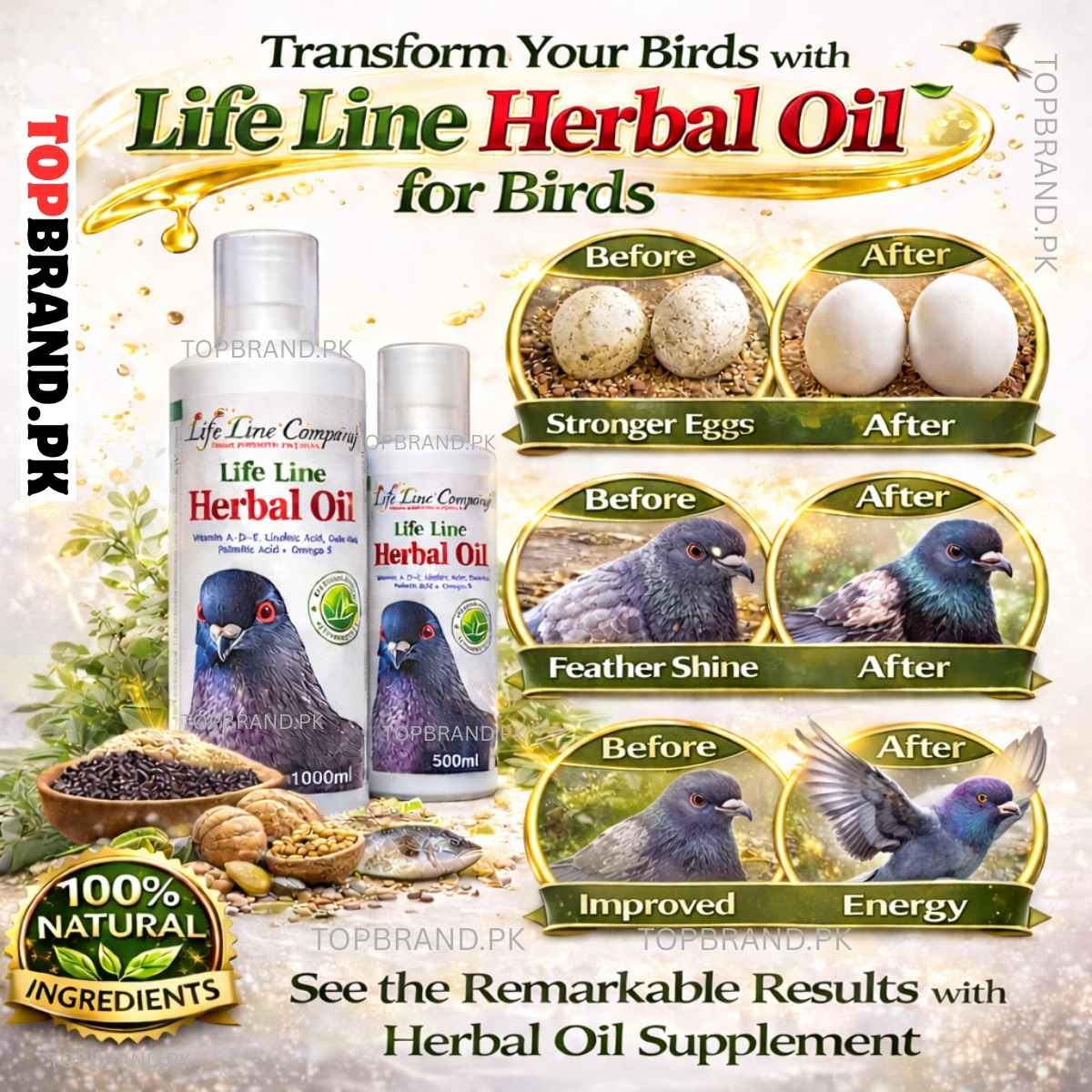Life Line Herbal Oil for Pigeons