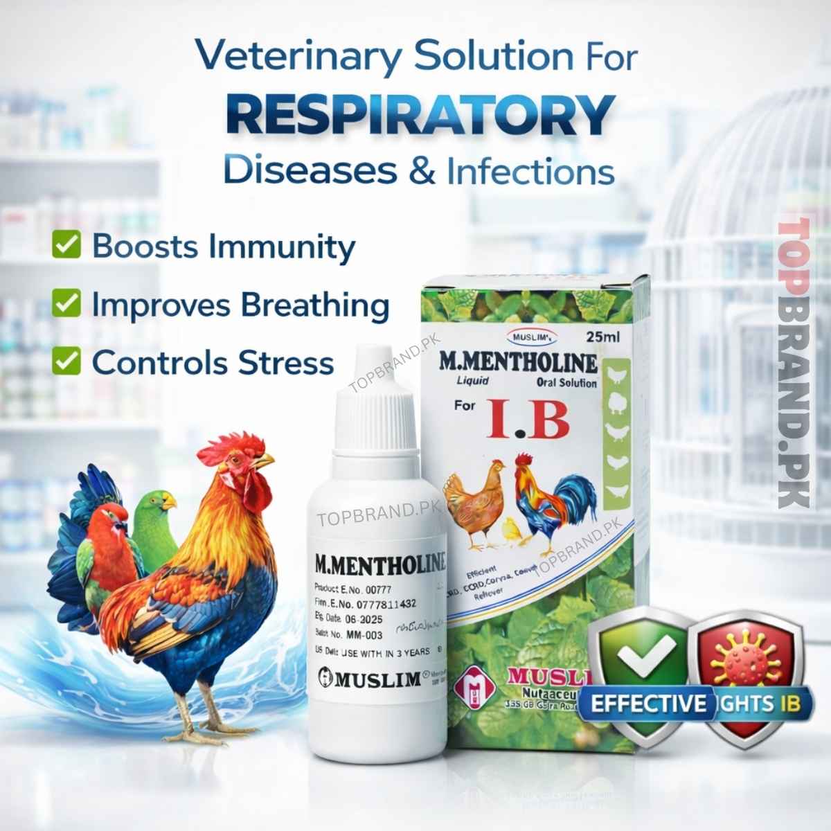 MENTHOLE ORAL SOLUTION 25ml FOR ANTI IB TRATMENT