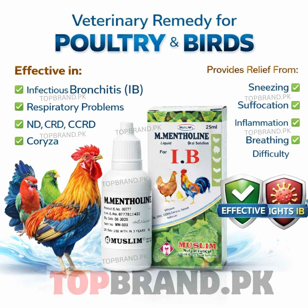 MENTHOLE ORAL SOLUTION 25ml FOR ANTI IB TRATMENT