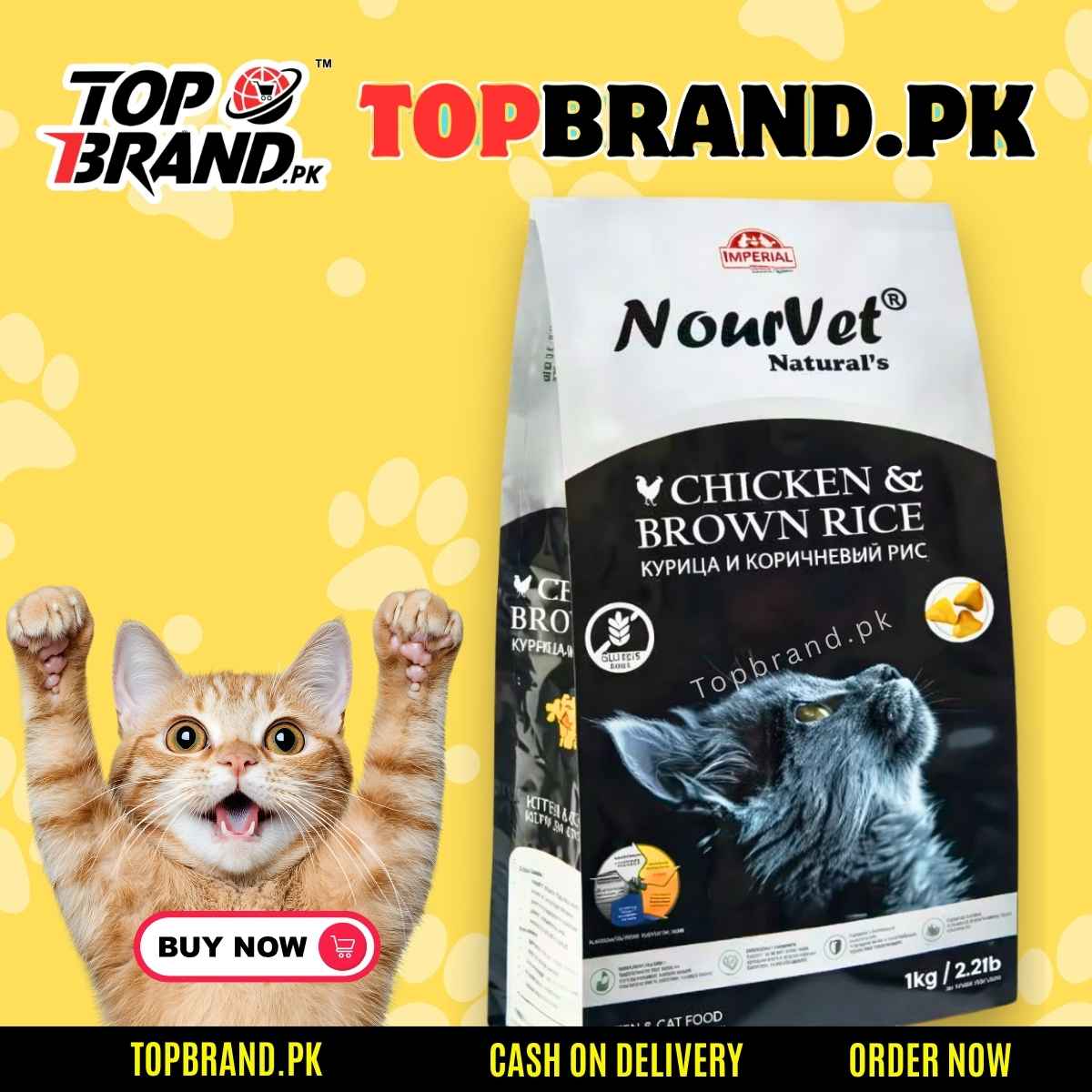 Nourvet Silver Cat AND kITTEN FOOD