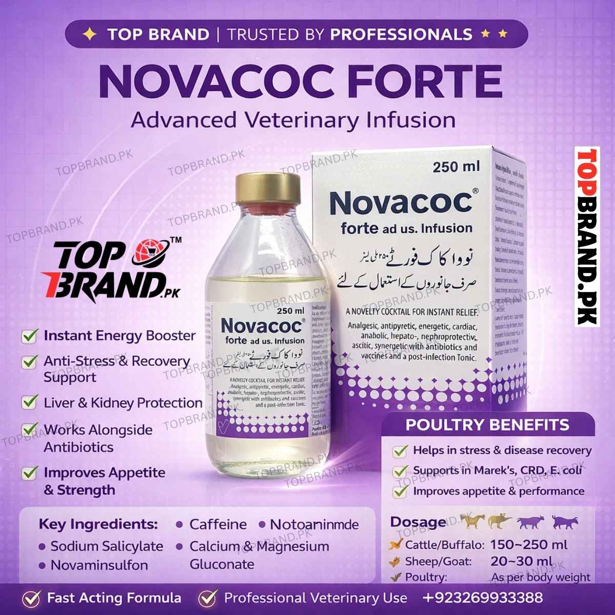 NOVA COC FORTE Caffeine, Sodium Salicylate, Novaminsulfon, Nicotinamide, Calcium Gluconate, Magnesium Gluconate, Boric Acid, Sorbitol, Sodium Alpha- Oxybenzylphosphinic Acid, Methyl Parahydroxybenzoate, Aqua for Injection