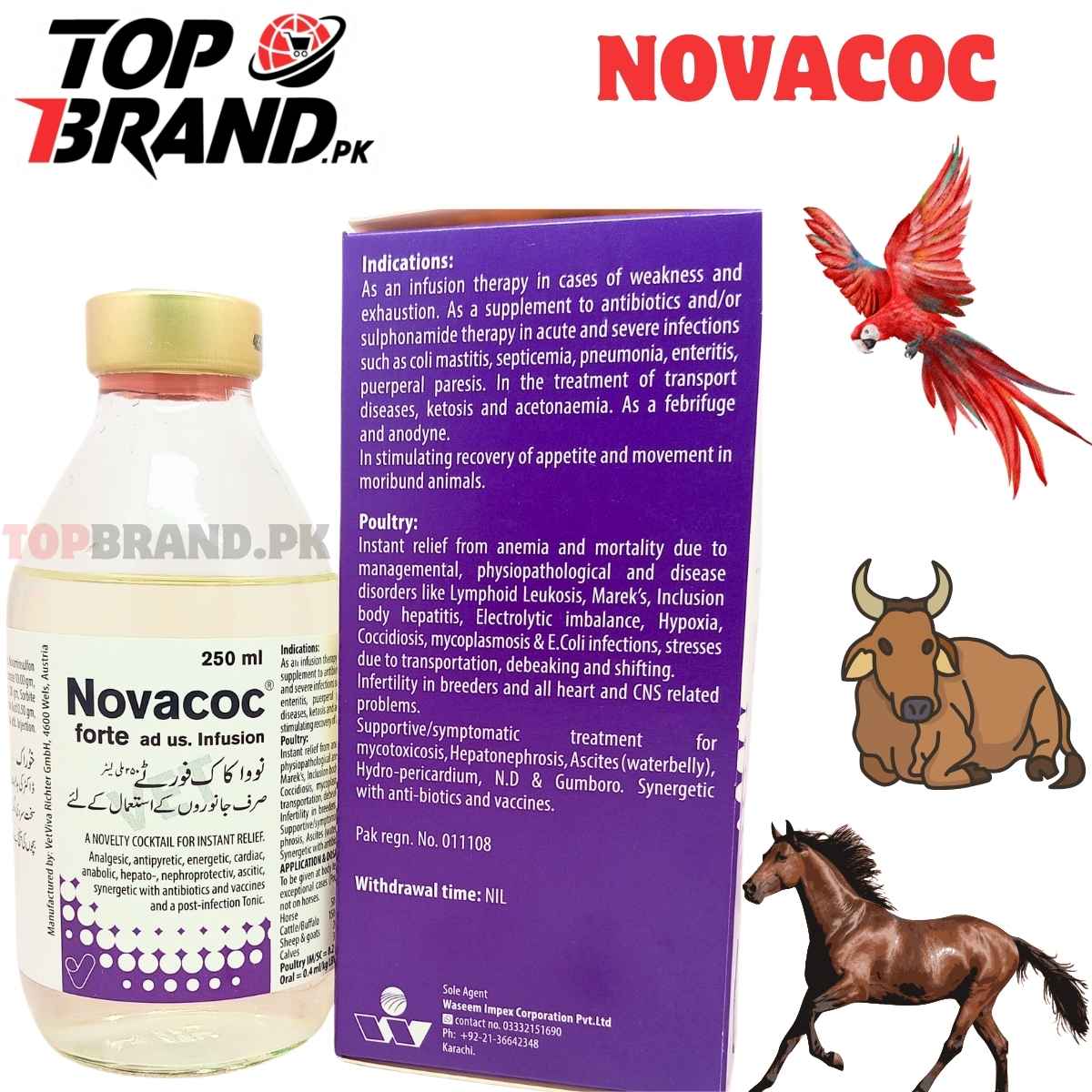 NOVA COC FORTE Caffeine, Sodium Salicylate, Novaminsulfon, Nicotinamide, Calcium Gluconate, Magnesium Gluconate, Boric Acid, Sorbitol, Sodium Alpha- Oxybenzylphosphinic Acid, Methyl Parahydroxybenzoate, Aqua for Injection