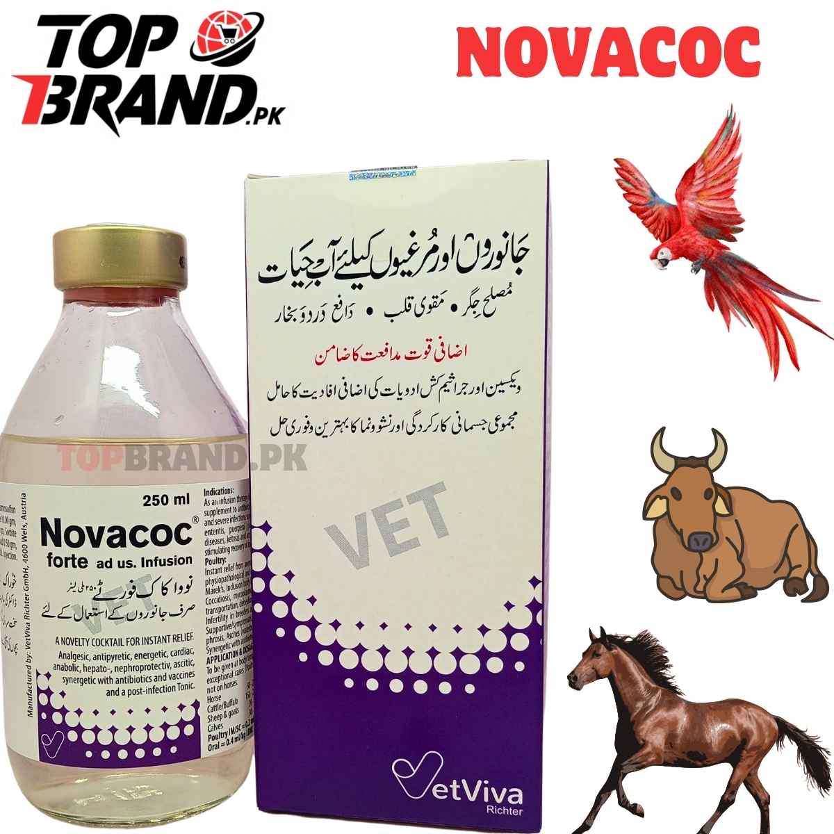 NOVA COC FORTE Caffeine, Sodium Salicylate, Novaminsulfon, Nicotinamide, Calcium Gluconate, Magnesium Gluconate, Boric Acid, Sorbitol, Sodium Alpha- Oxybenzylphosphinic Acid, Methyl Parahydroxybenzoate, Aqua for Injection