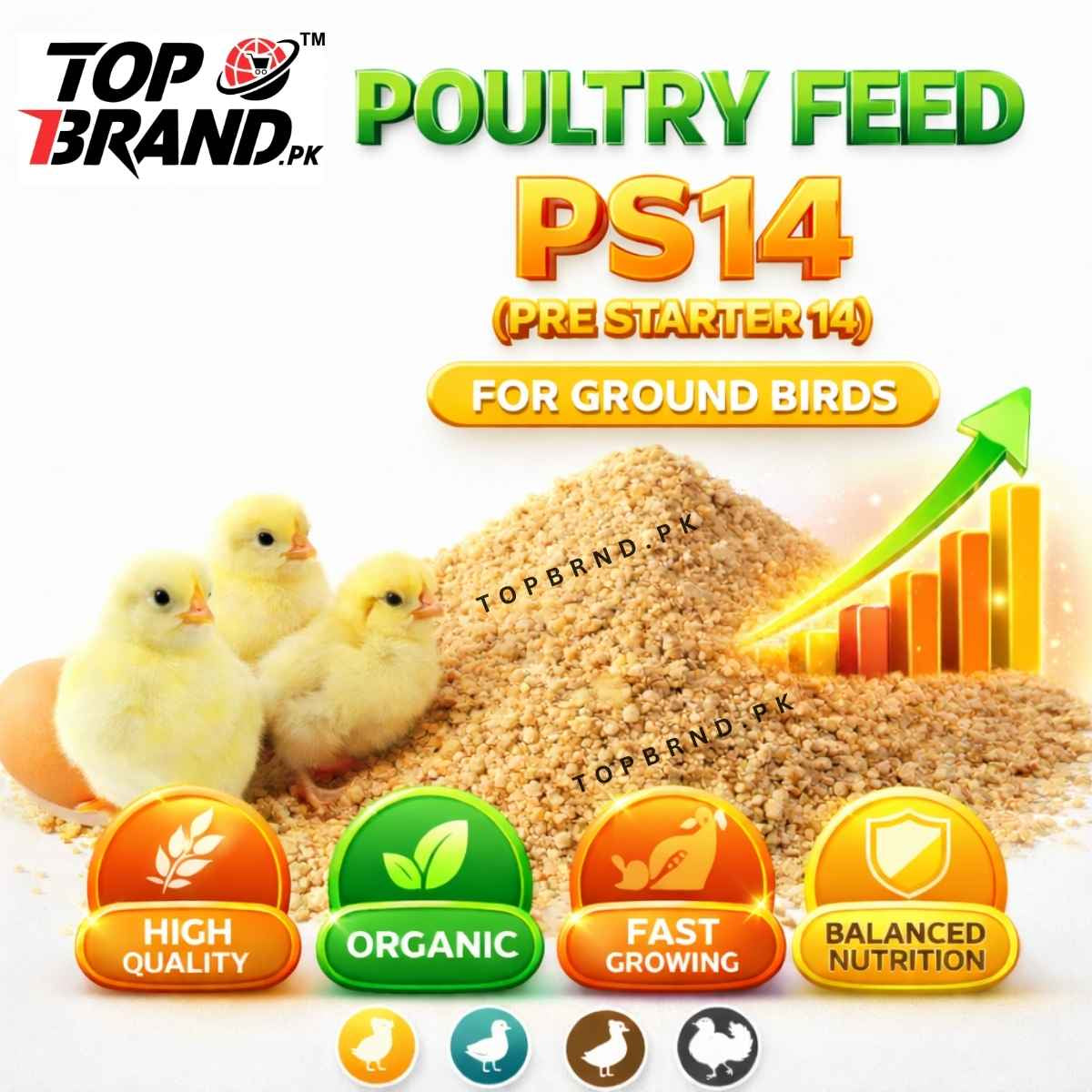 Poultry Feed No. P.S 14 (Pre Starter 14) For Fast Growth