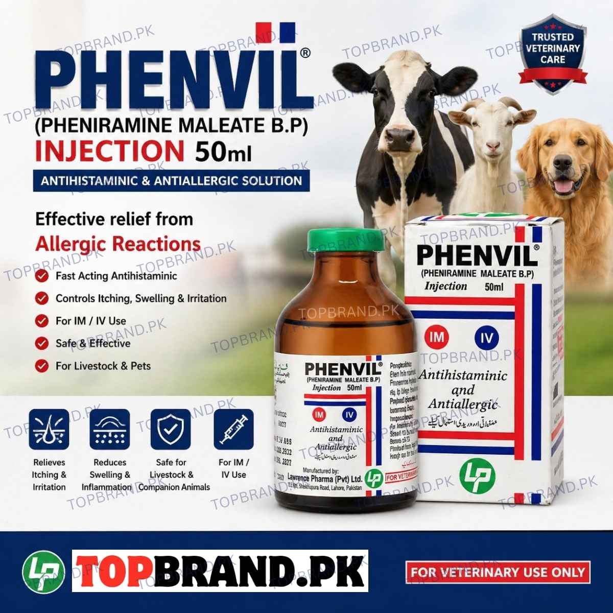 Phenvil Injection 50ml