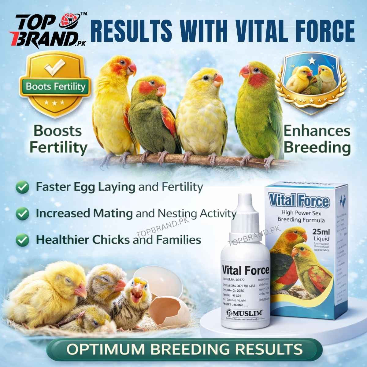 Vital Force 25ml