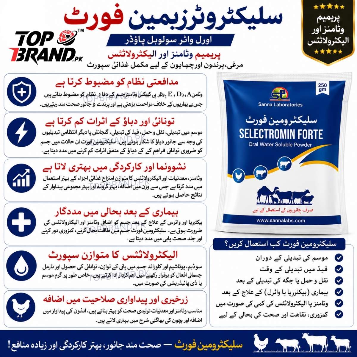 Selectromin Forte – Vitamin & Electrolyte 250g