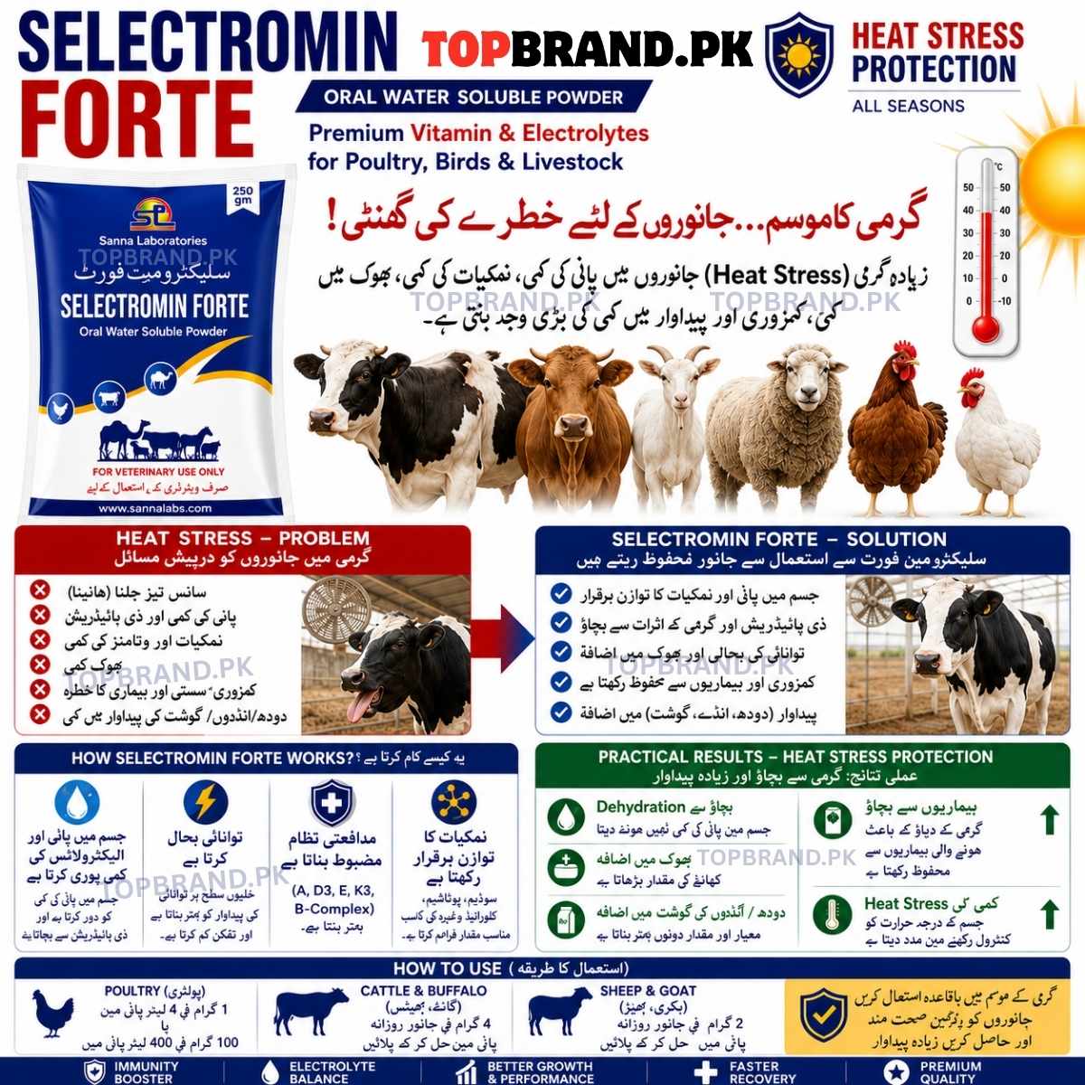 Selectromin Forte – Vitamin & Electrolyte 250g