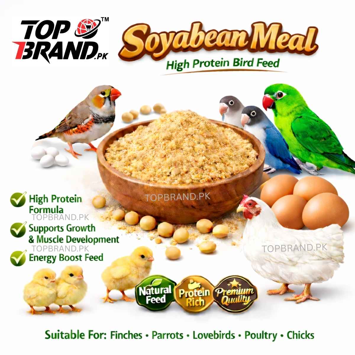 Soyabean Meal