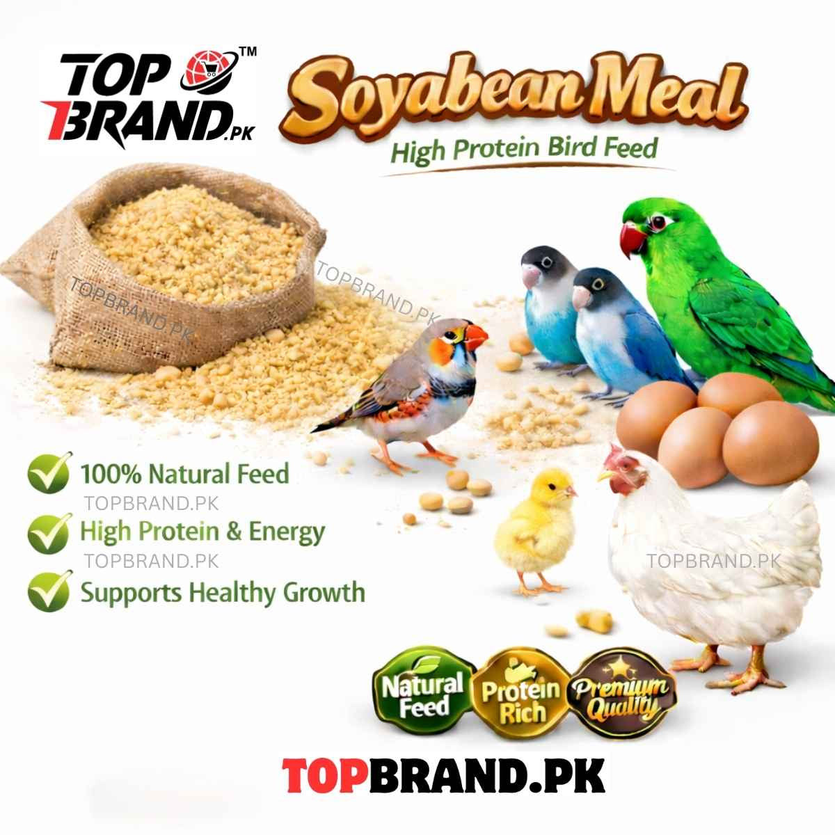 Soyabean Meal