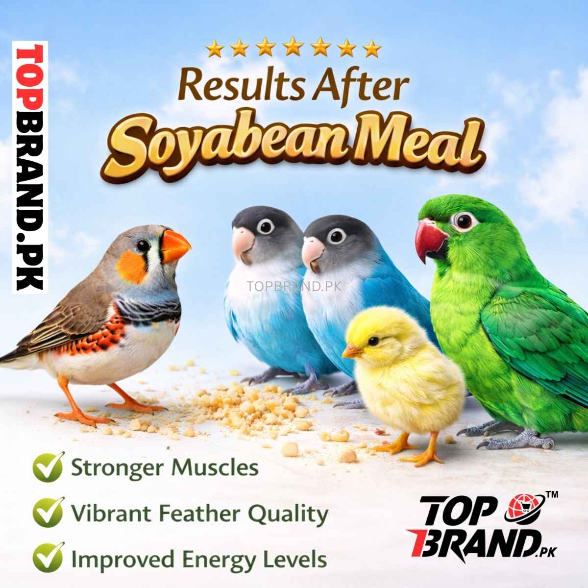 Soyabean Meal