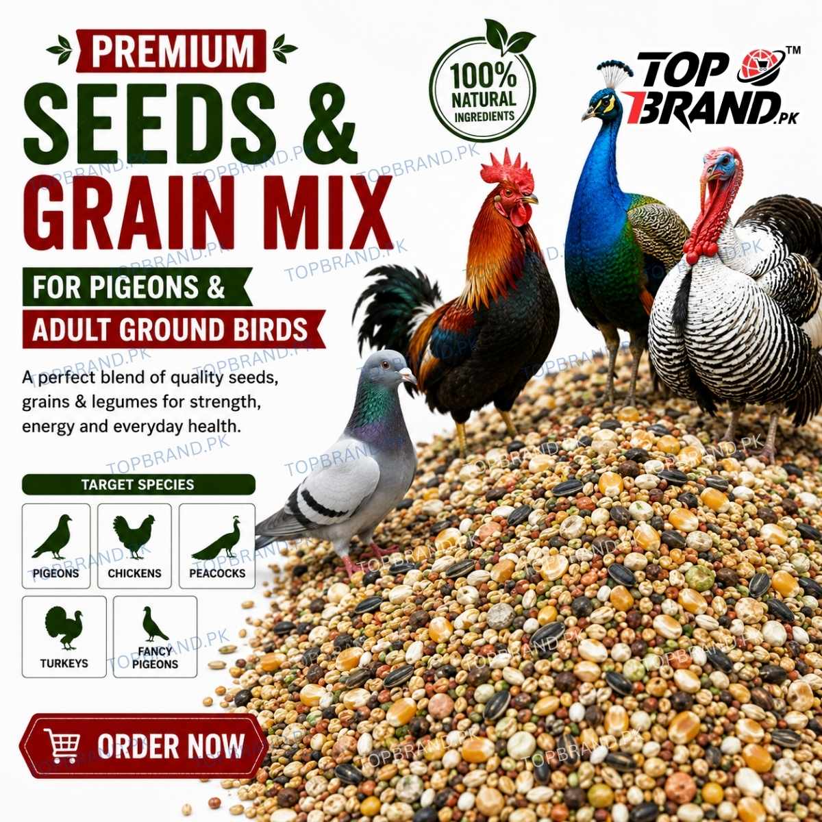 Premium Seeds & Grain Mix – Pigeon, Chicken and Ground Bird Feed