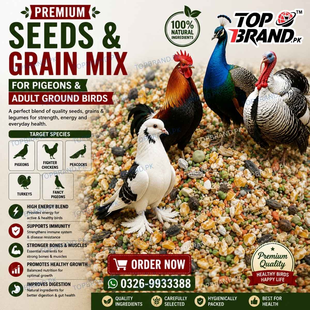 Premium Seeds & Grain Mix – Pigeon, Chicken and Ground Bird Feed