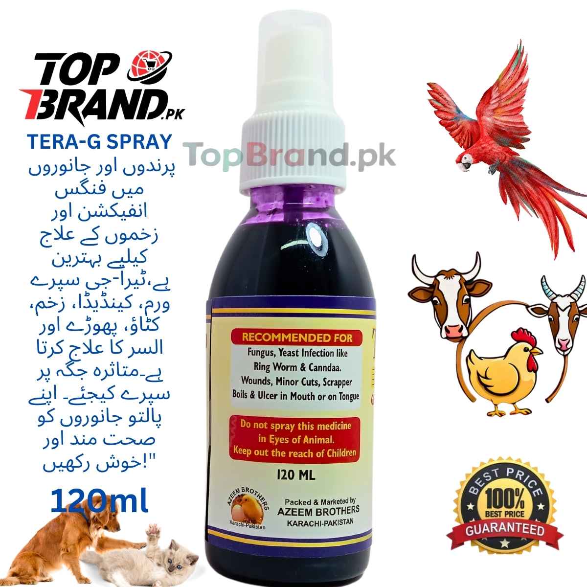 Product details of TERA-G SPRAY - Effective Treatment for Fungal Infections and Injuries - injured - Wounds in Birds & Animals
Treats fungal and yeast infections like ringworm and candida
Effective for wounds, minor cuts, and scrapes
Helps heal boils and ulcers in the mouth or on the tongue
Safe for use on birds and animals
Easy application with spray bottle
120 ml bottle