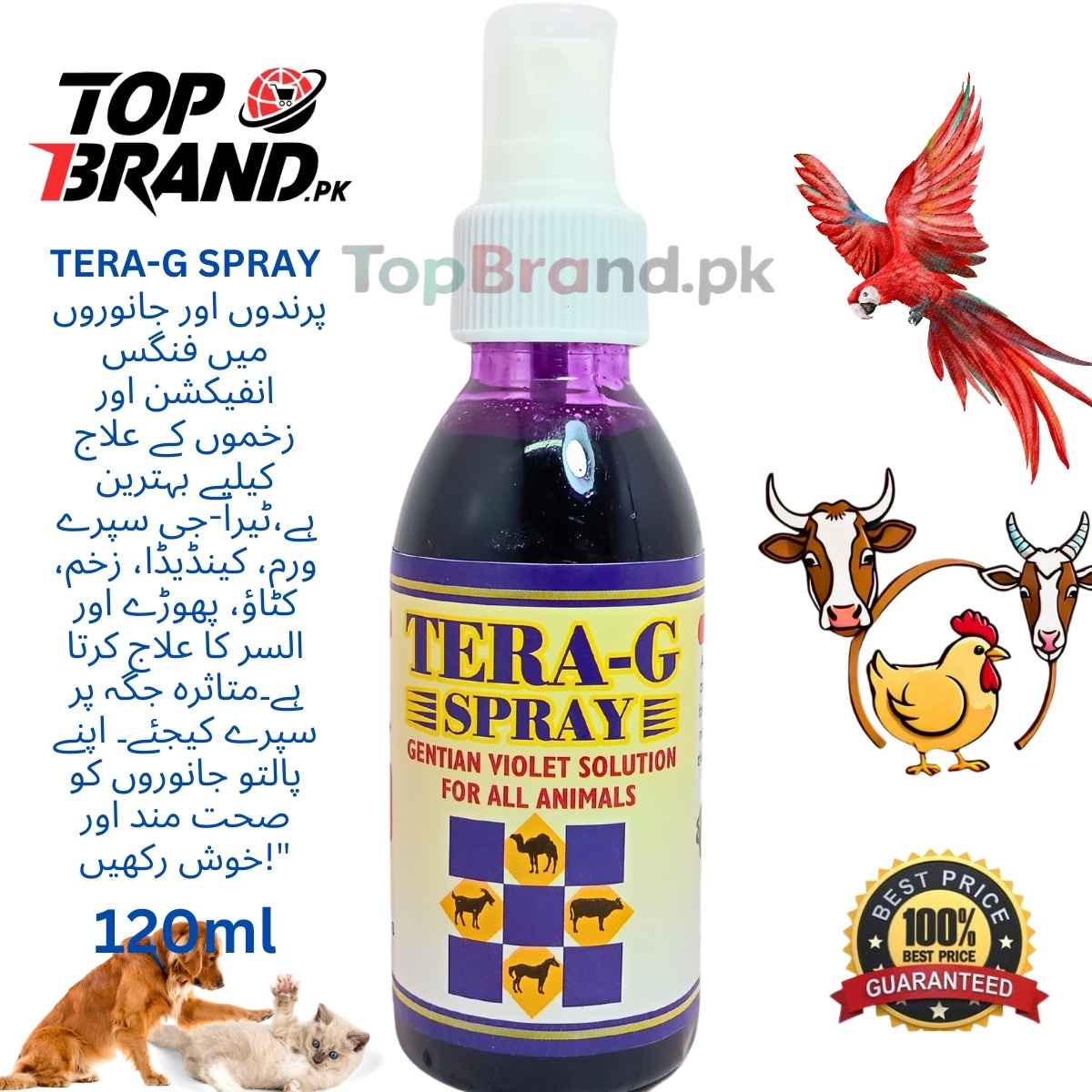 Product details of TERA-G SPRAY - Effective Treatment for Fungal Infections and Injuries - injured - Wounds in Birds & Animals
Treats fungal and yeast infections like ringworm and candida
Effective for wounds, minor cuts, and scrapes
Helps heal boils and ulcers in the mouth or on the tongue
Safe for use on birds and animals
Easy application with spray bottle
120 ml bottle