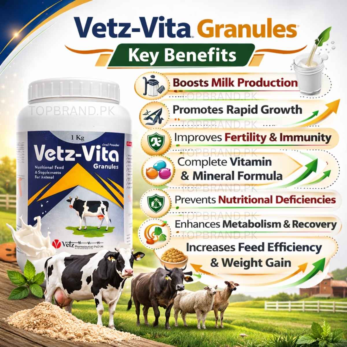 Vetz-Vita Granules (1kg) – Livestock Vitamin & Mineral Feed Supplement