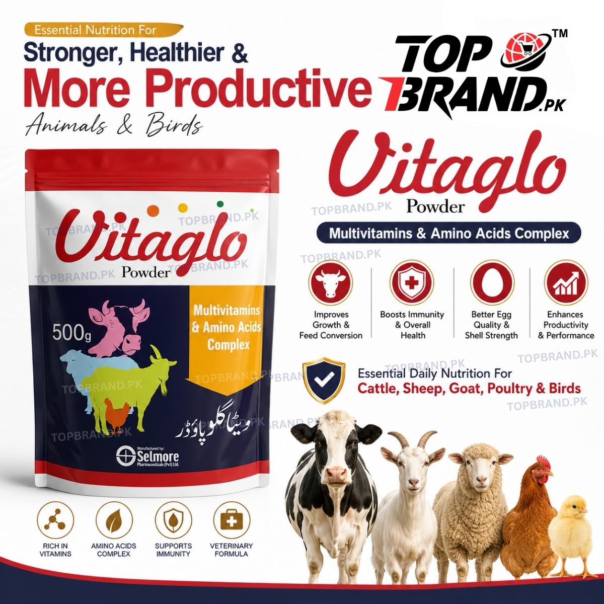 Vitaglo Powder 500g Multivitamins & Amino Acids